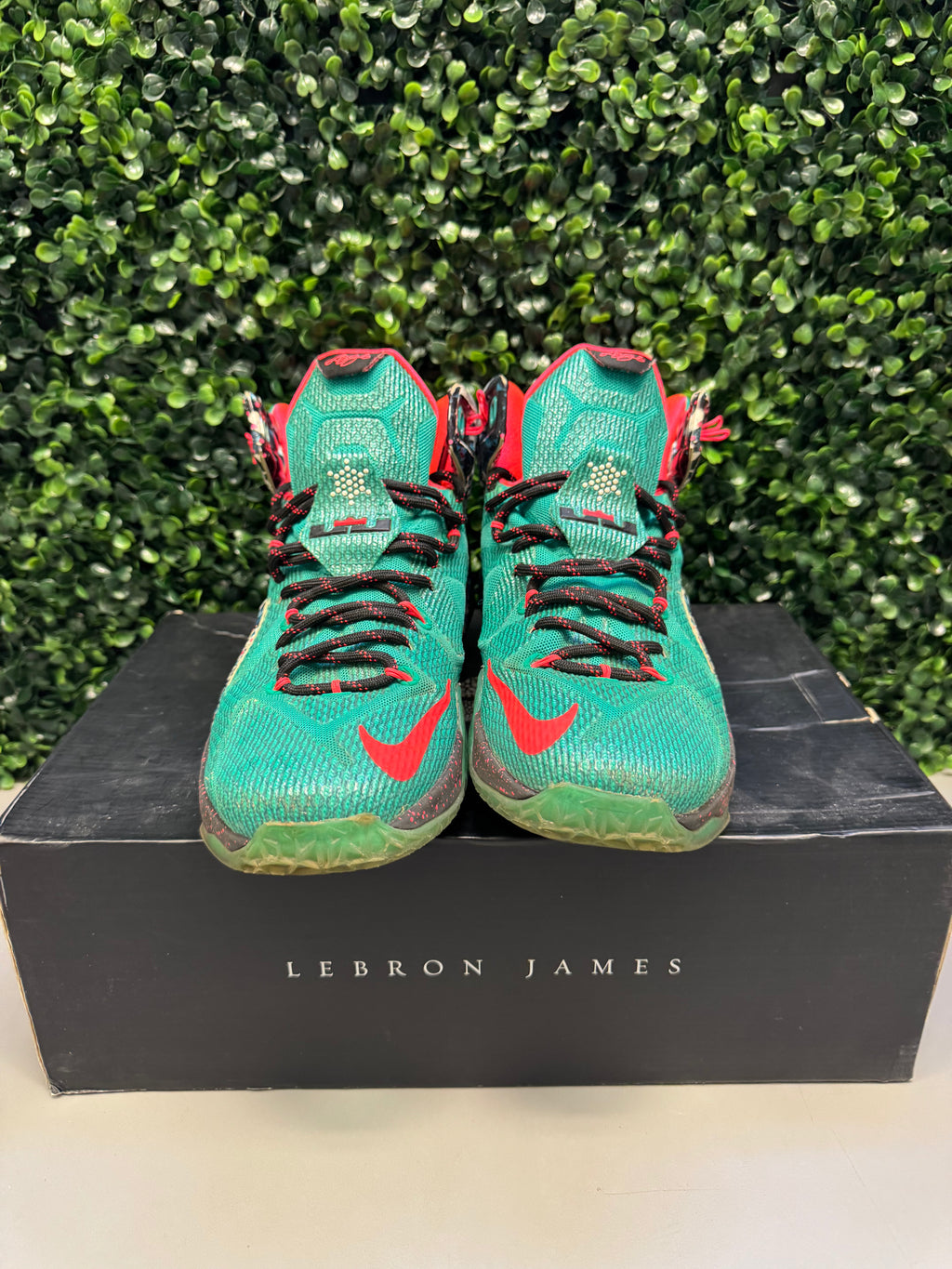 Nike LeBron 12 "Akron Birch" Size 9.5 Preowned
