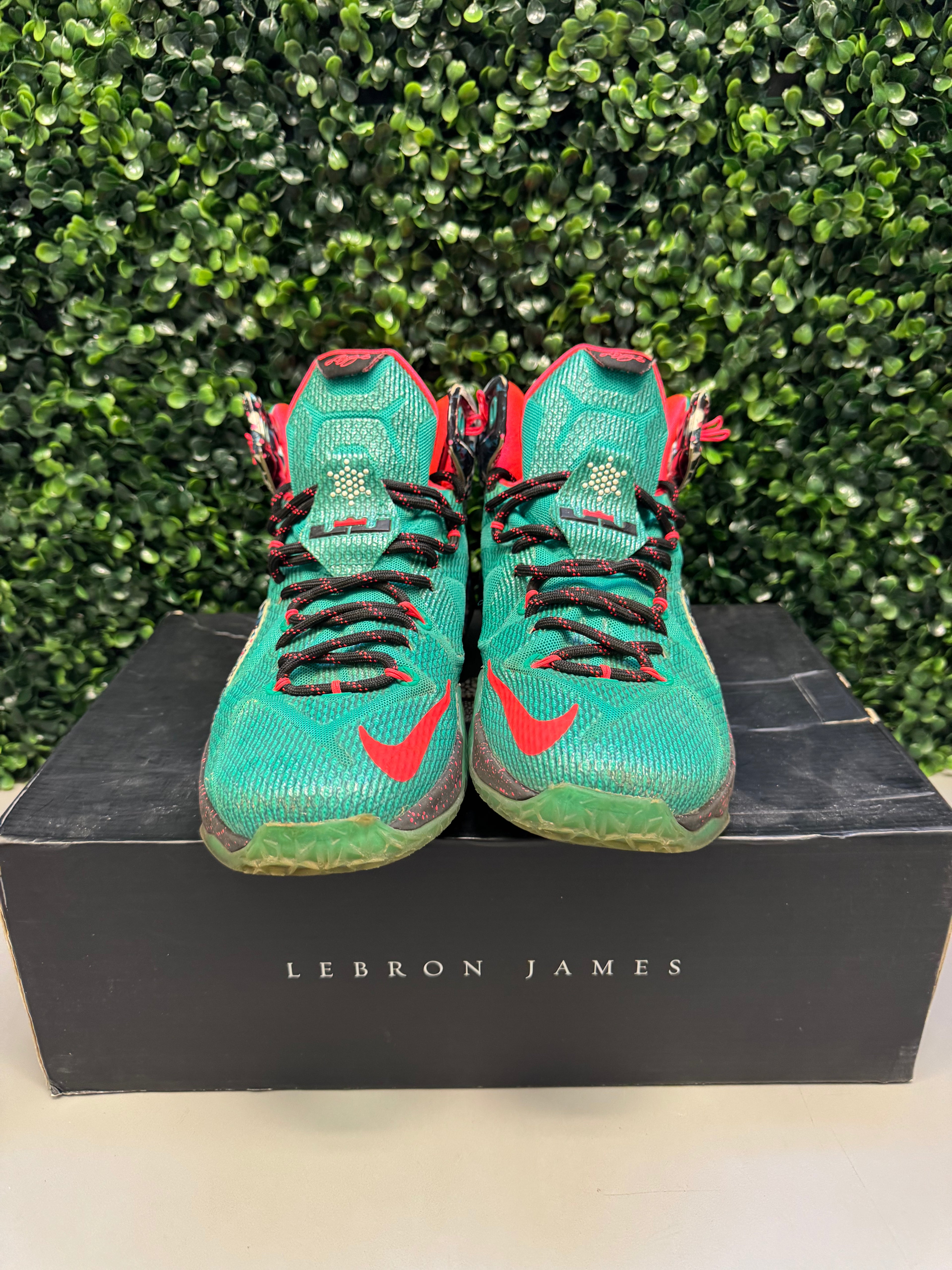 Nike LeBron 12 "Akron Birch" Size 9.5 Preowned