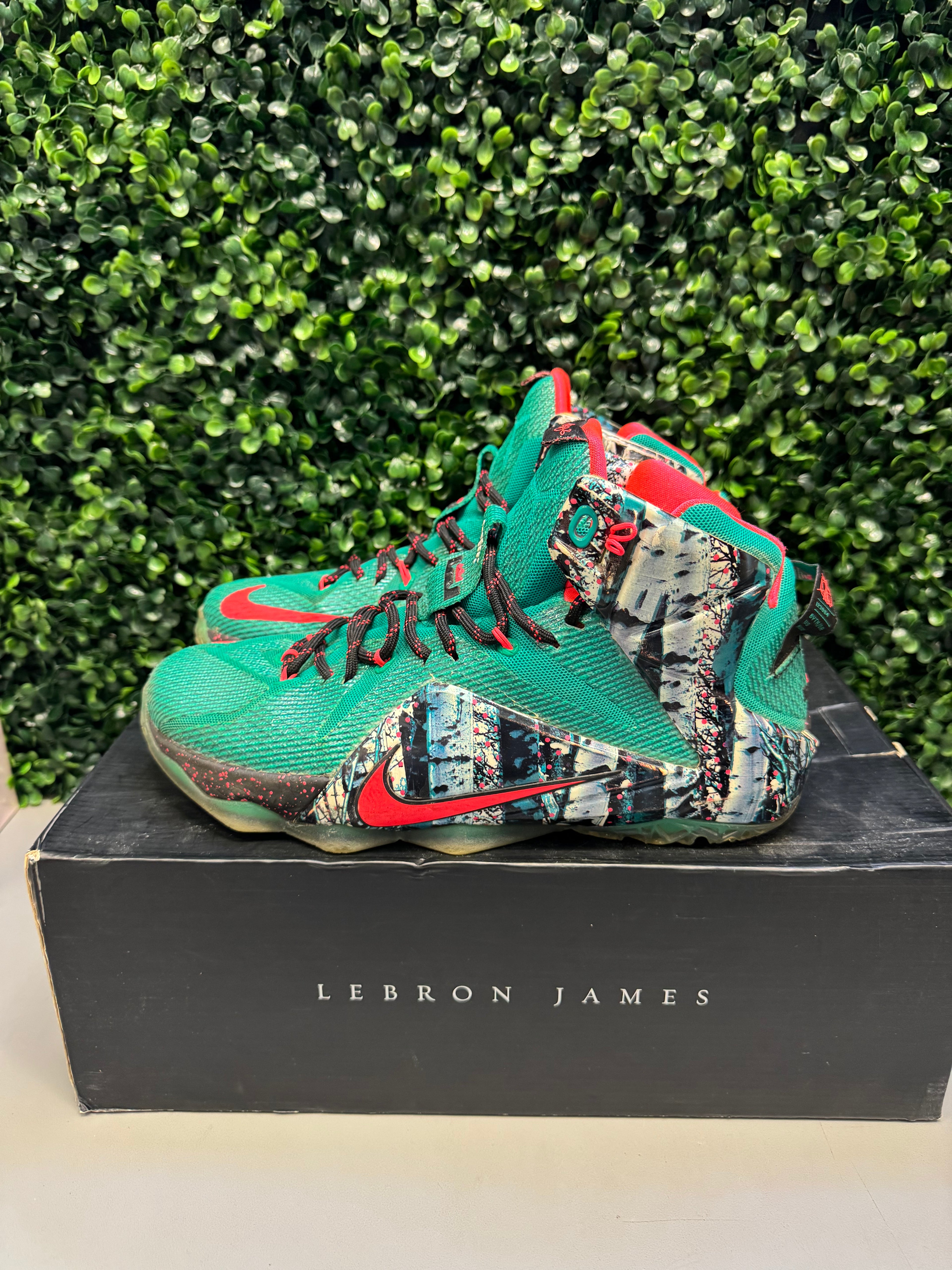 Nike LeBron 12 "Akron Birch" Size 9.5 Preowned
