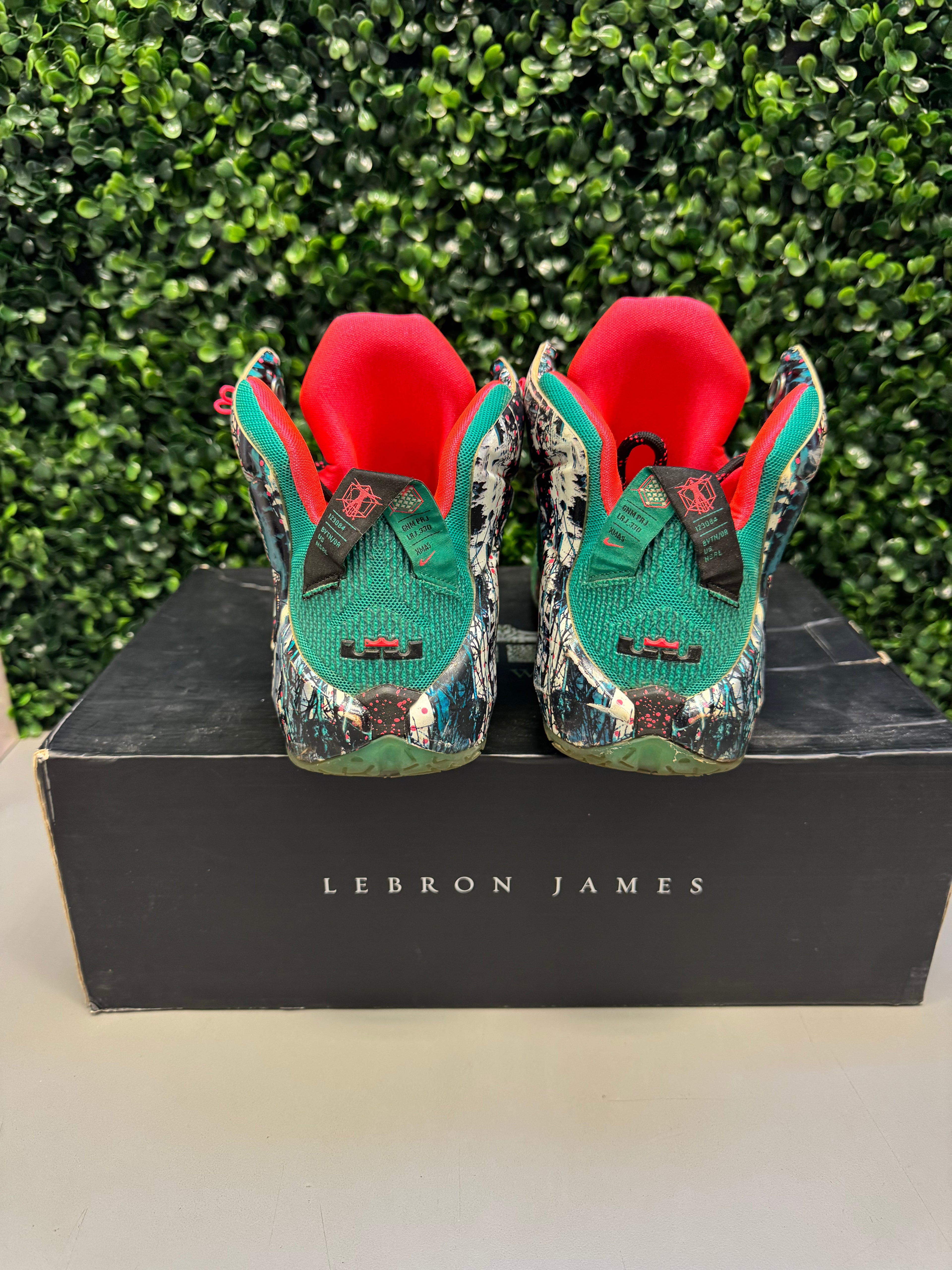 Nike LeBron 12 "Akron Birch" Size 9.5 Preowned
