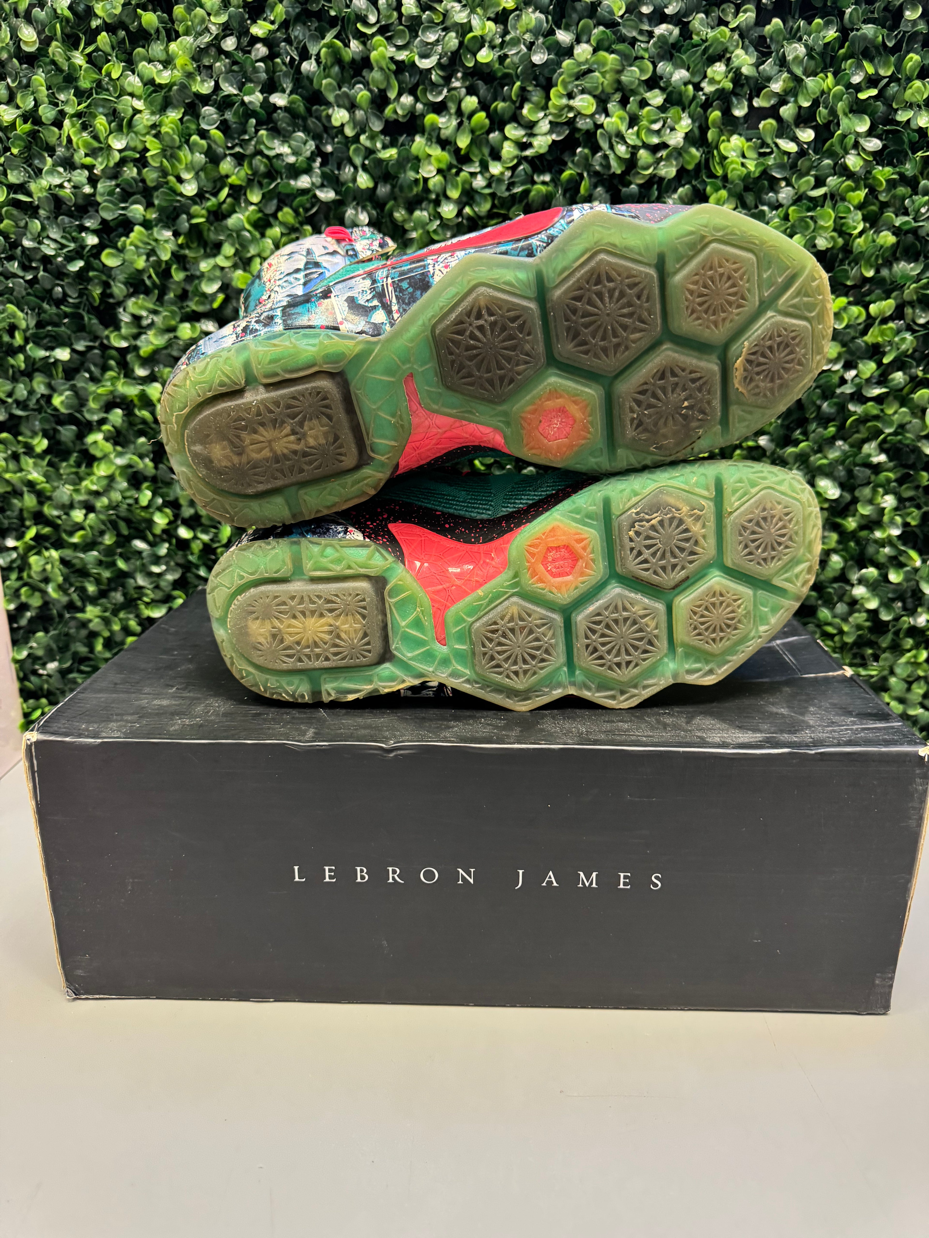 Nike LeBron 12 "Akron Birch" Size 9.5 Preowned