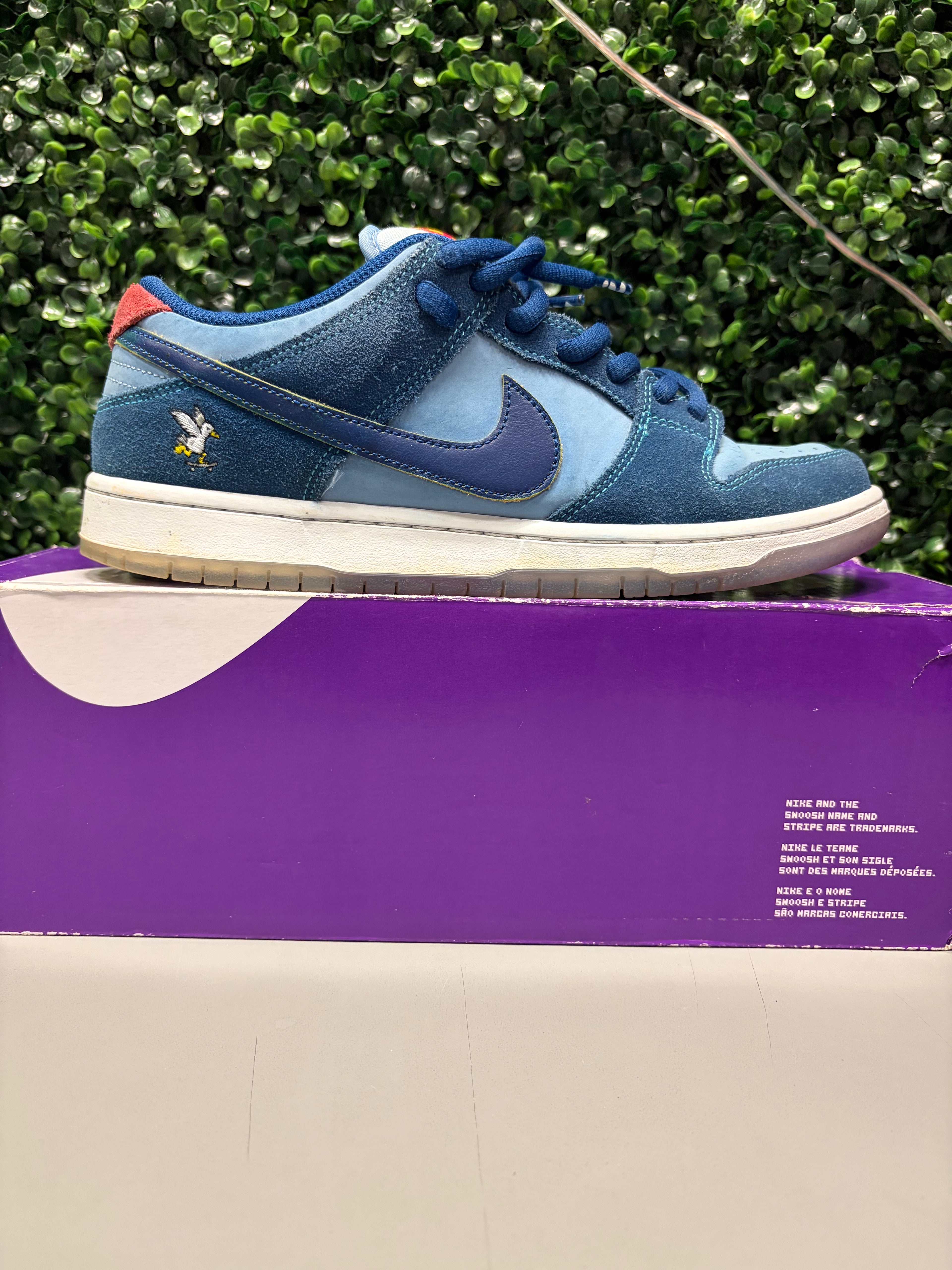 Nike SB Dunk Low Pro Why So Sad?
