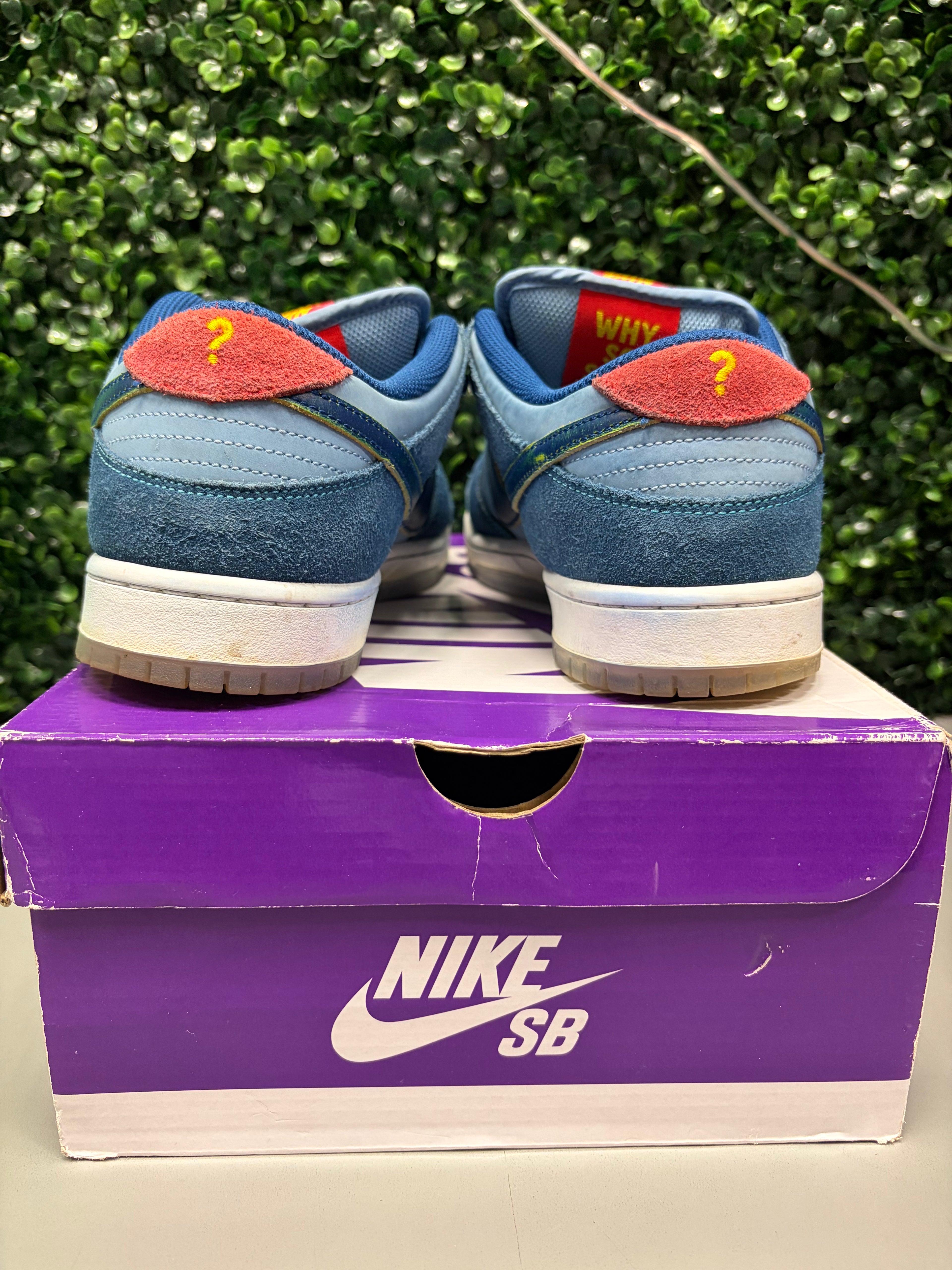 Nike SB Dunk Low Pro Why So Sad?