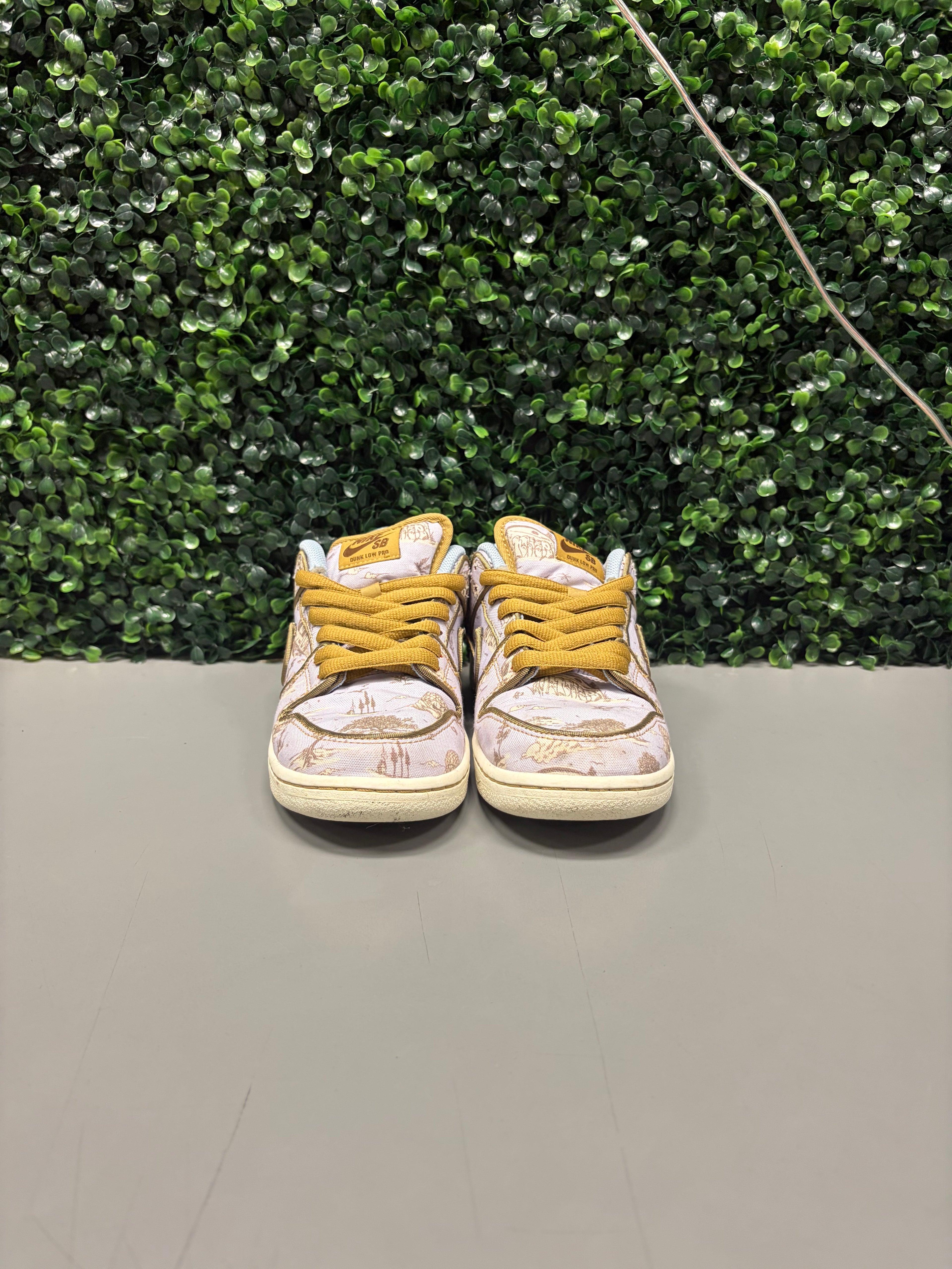 Nike SB Dunk Low Premium "City of Style" Size 6.5 Preowned (No Box)