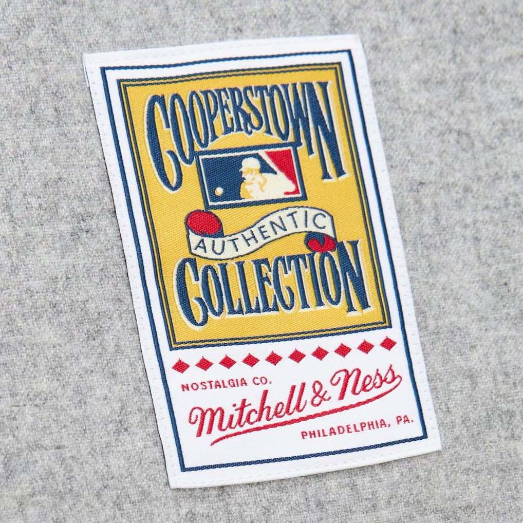 MITCHELL AND NESS Babe Ruth New York Yankees 1929 Gray Authentic Jersey