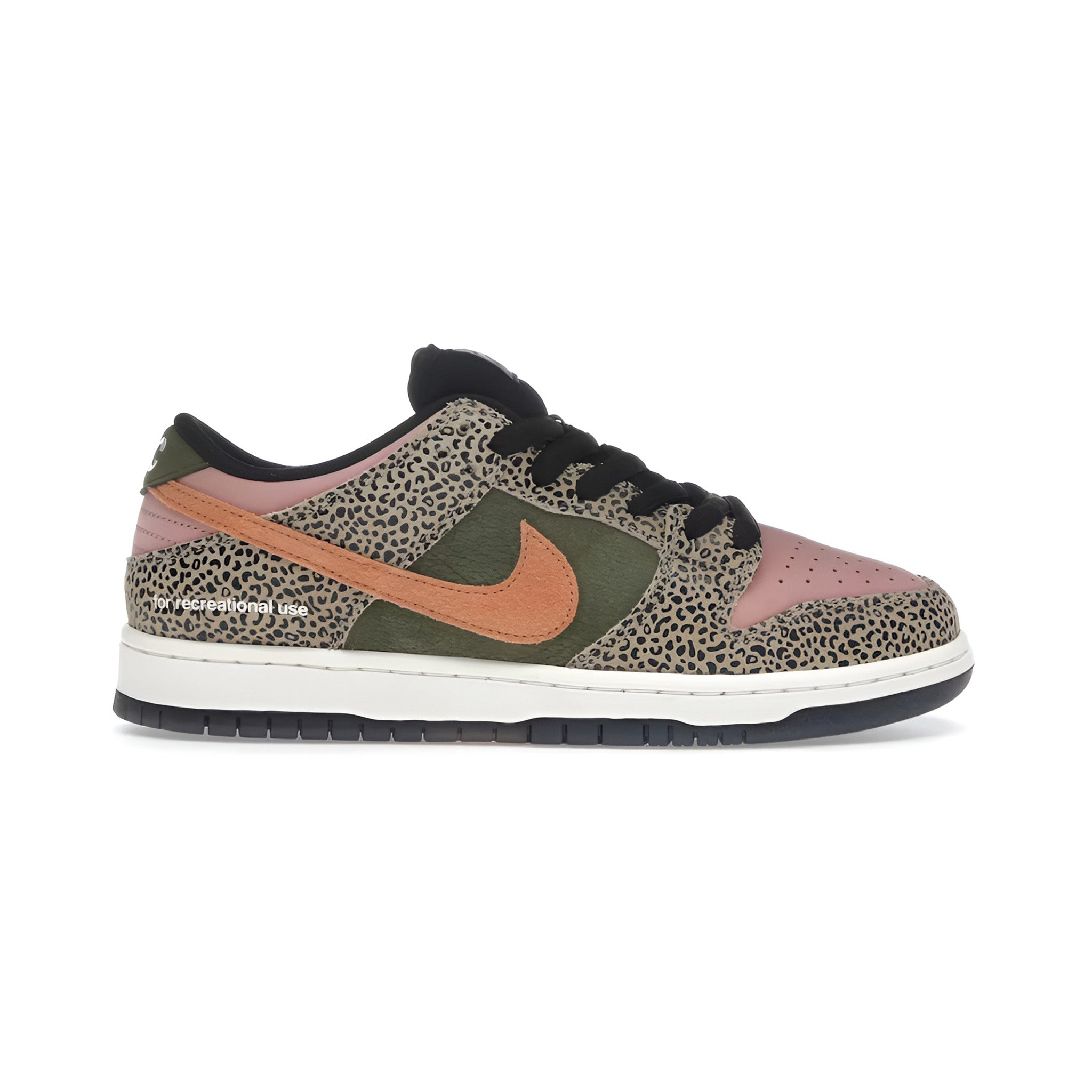Nike SB Dunk Low Arts-Rec