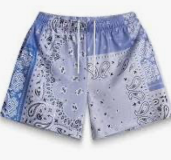 Bravest Studios "Blue Patchwork Paisley" Shorts