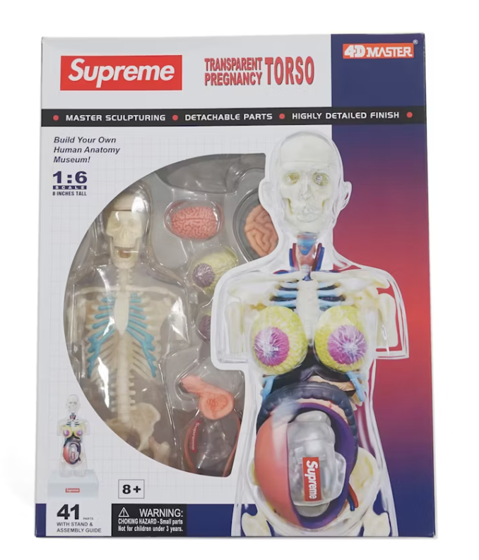 Supreme Female Anatomy Model "Clear"