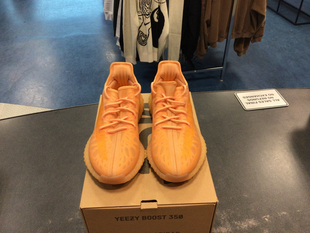 Adidas Yeezy Boost 350 V2 “Mono Clay” preowned size 9M - Hype World