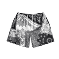 Bravest Studios " Panda Porcelain" Shorts - Hype World