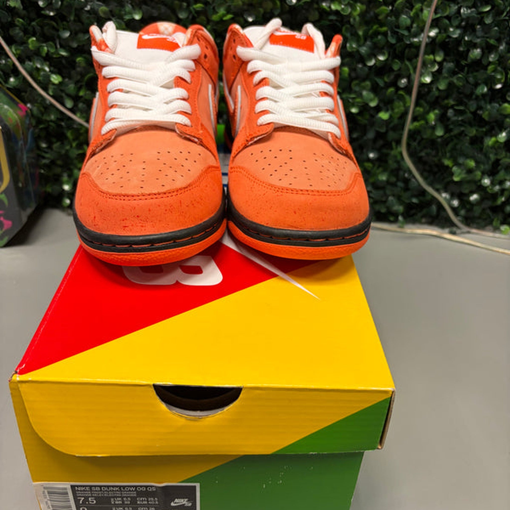 Nike SB Dunk Low "Orange Lobster" Size 7.5 Preowned