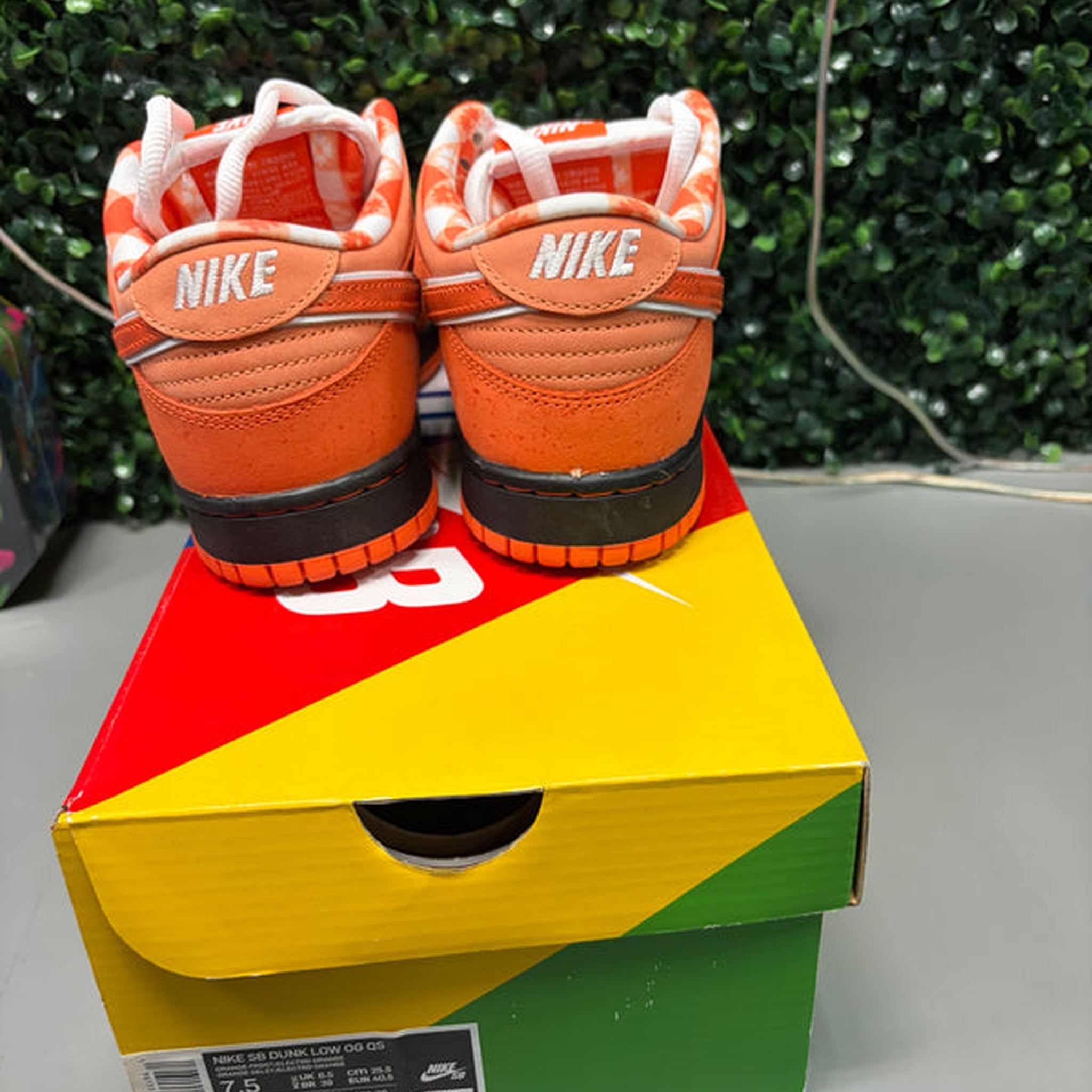 Nike SB Dunk Low "Orange Lobster" Size 7.5 Preowned