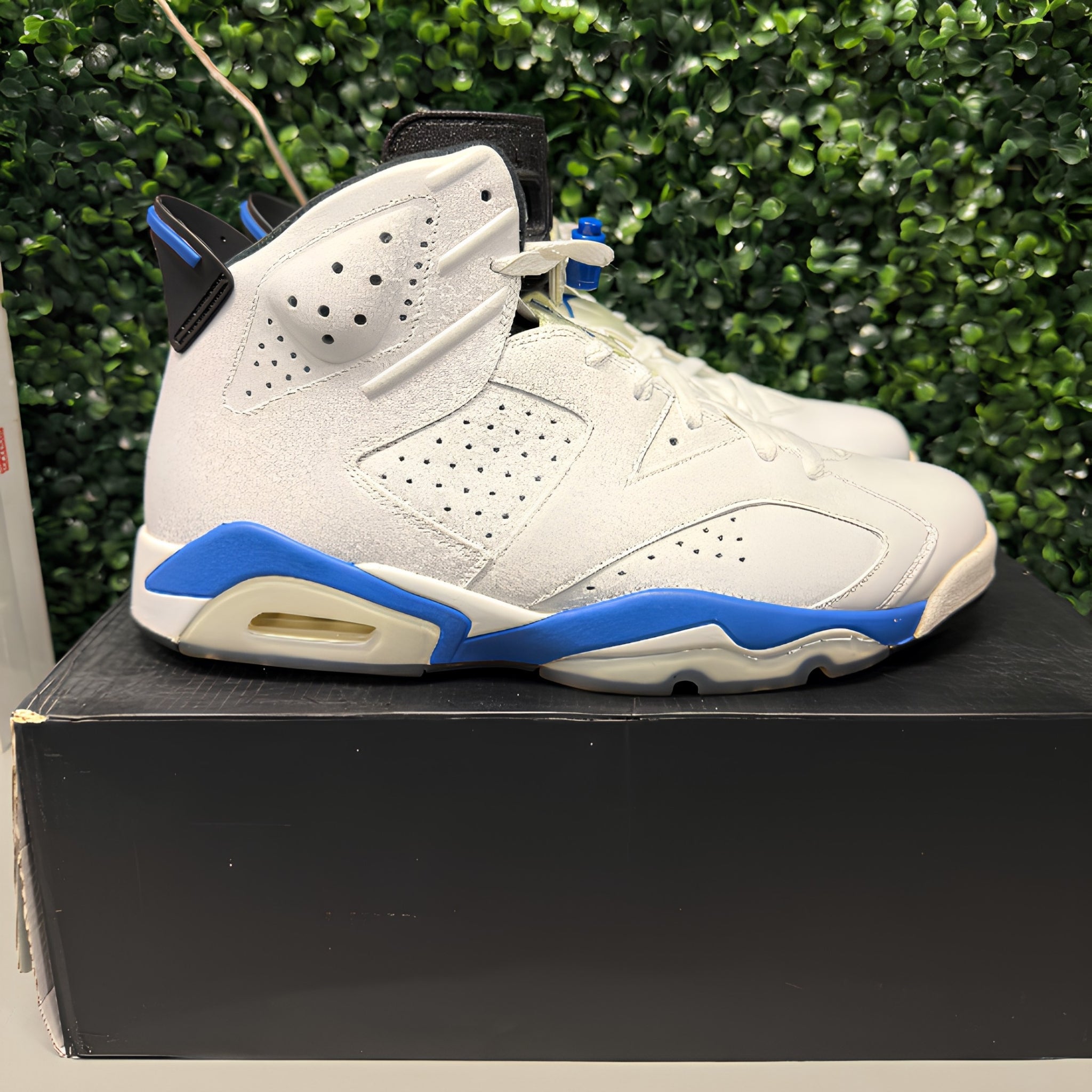 Jordan 6 "Sport Blue" Size 12 Preowned - Hype World