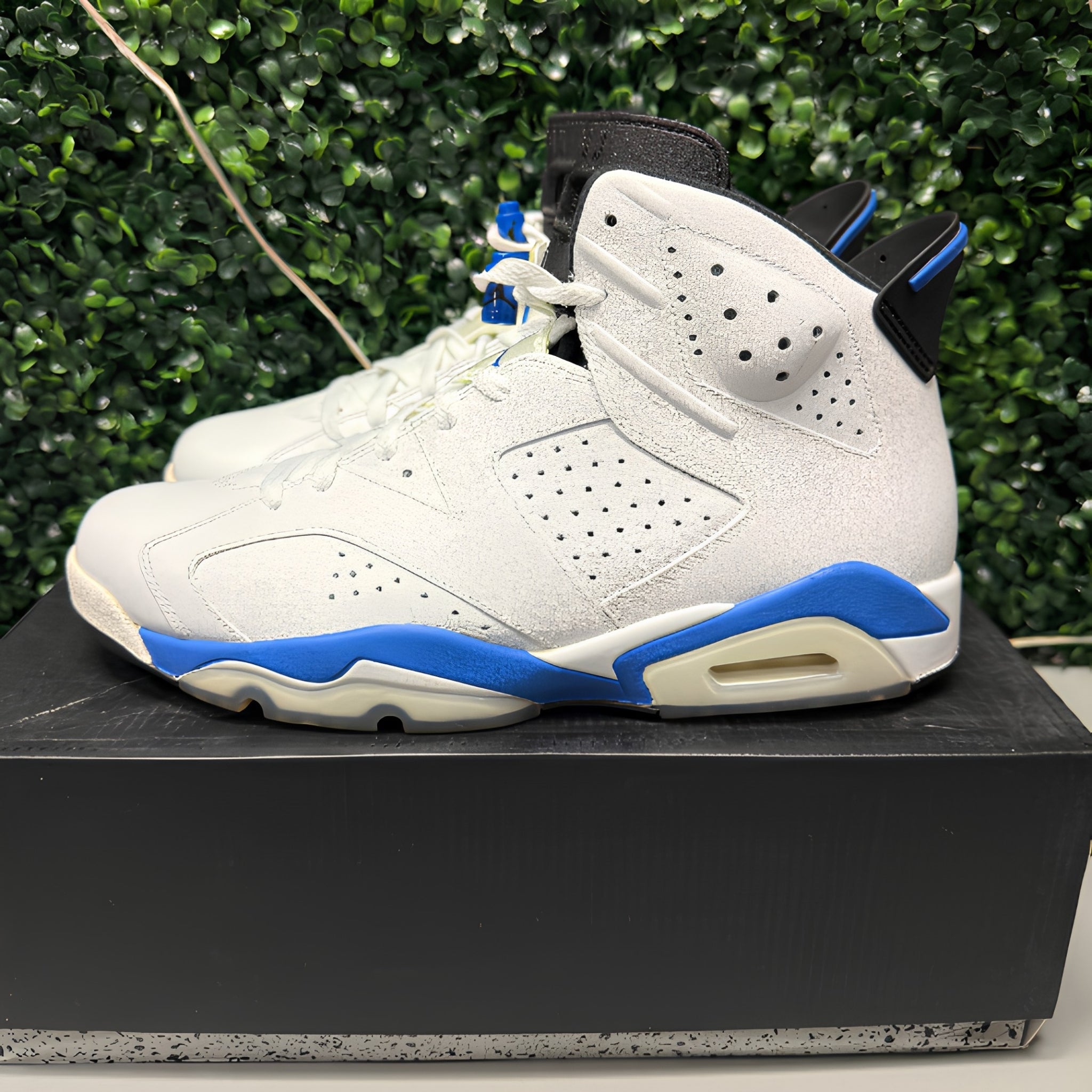 Jordan 6 "Sport Blue" Size 12 Preowned - Hype World