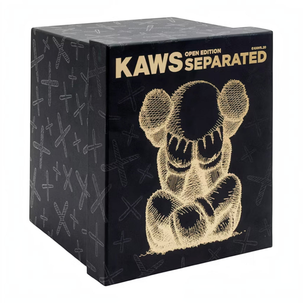KAWS Separated Vinyl Figure Black - Hype World