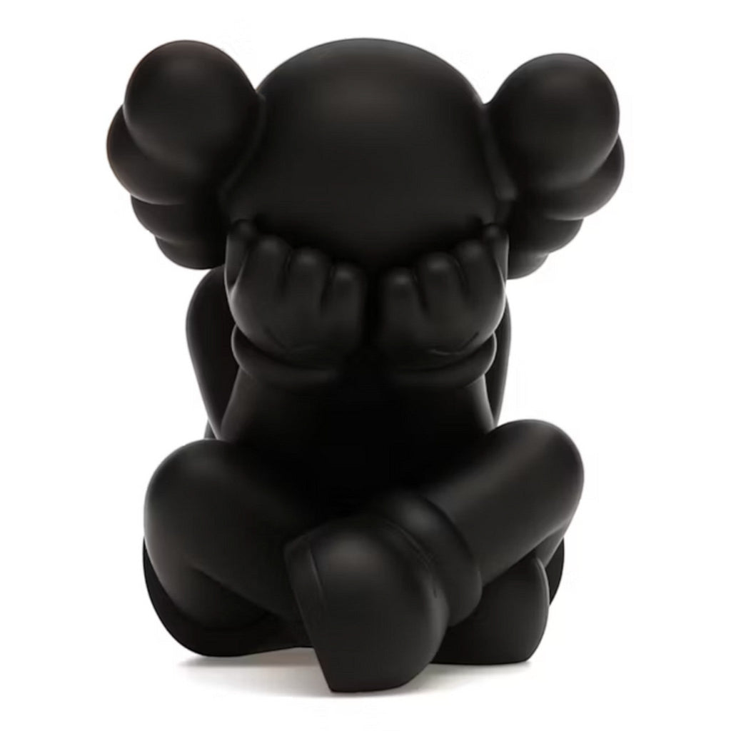 KAWS Separated Vinyl Figure Black - Hype World