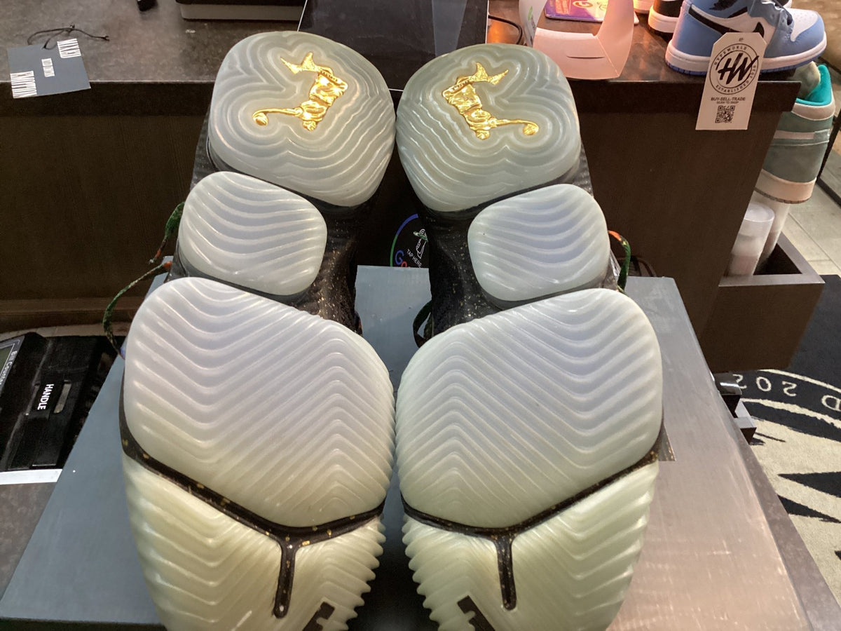 LeBron 16 “Watch the throne” Size 13 Preowned - Hype World