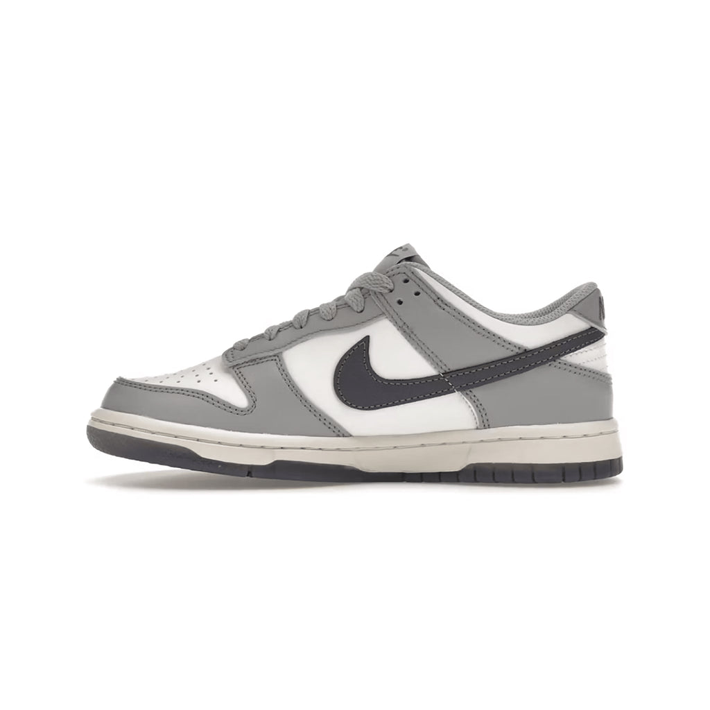 Nike Dunk Low “Platinum Tint Light Carbon" (GS) - Hype World