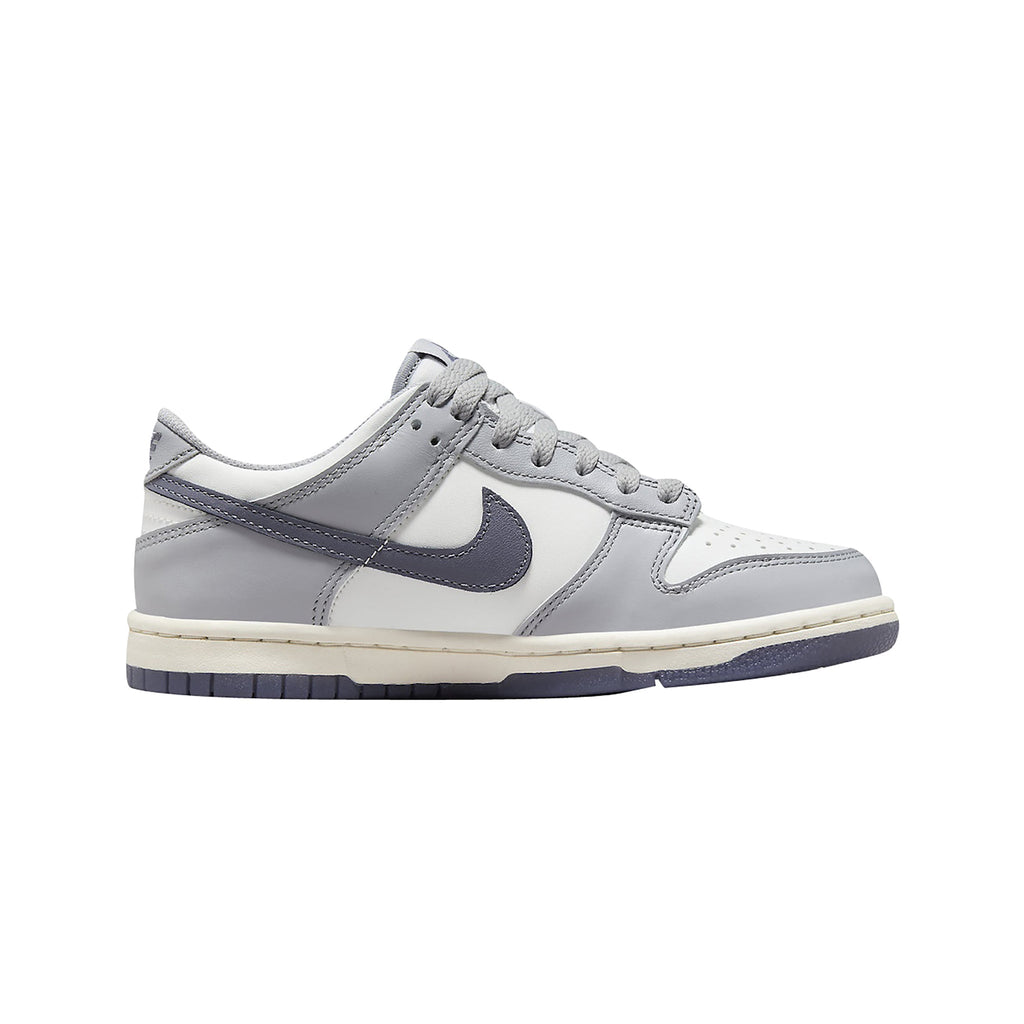 Nike Dunk Low “Platinum Tint Light Carbon" (GS) - Hype World