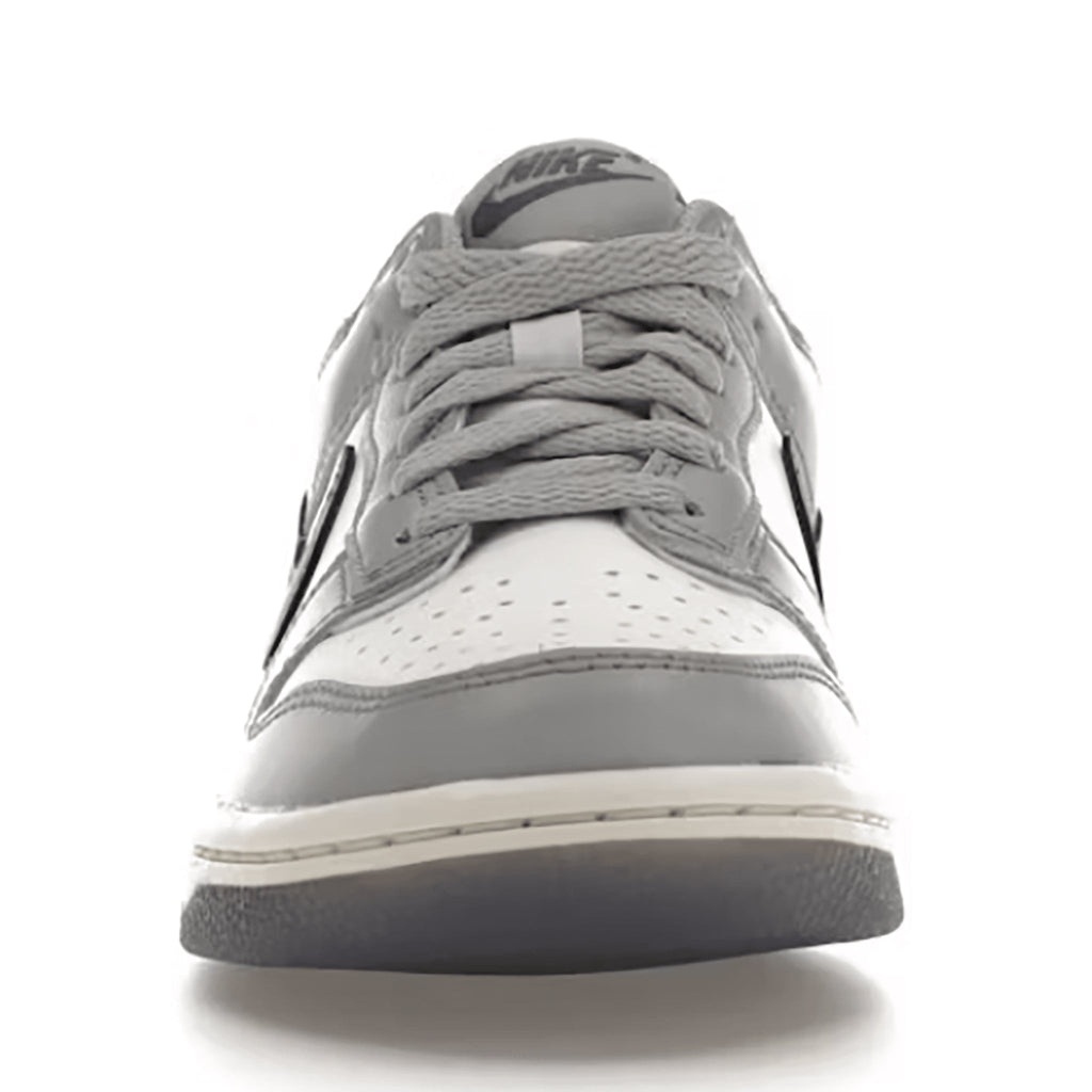 Nike Dunk Low “Platinum Tint Light Carbon" (GS) - Hype World