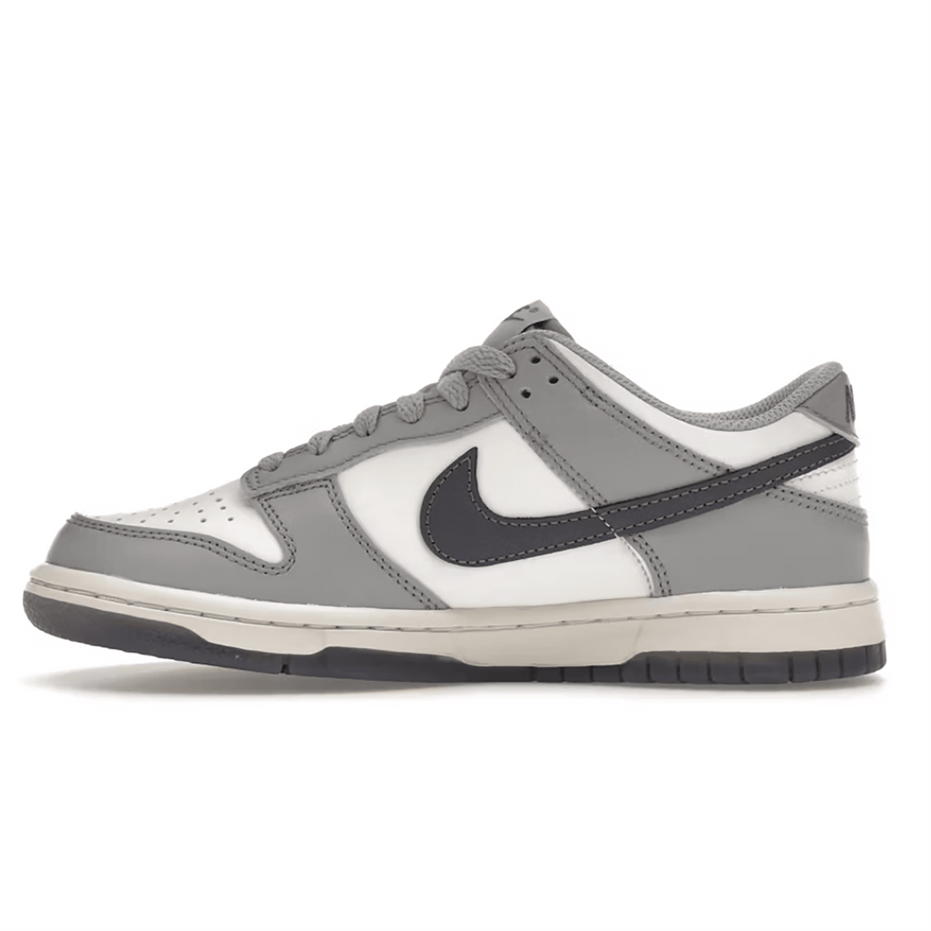 Nike Dunk Low “Platinum Tint Light Carbon" (GS) - Hype World