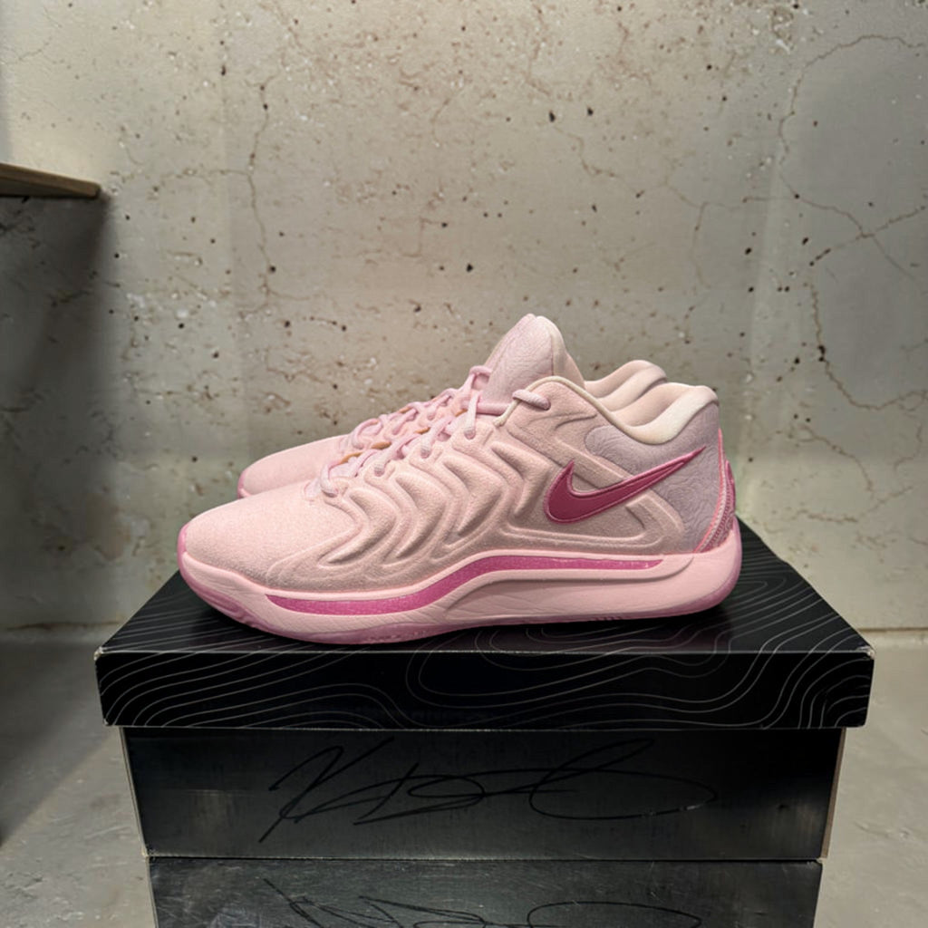 Nike KD 17 NRG "Aunt Pearl" Size 11 Tried On - Hype World