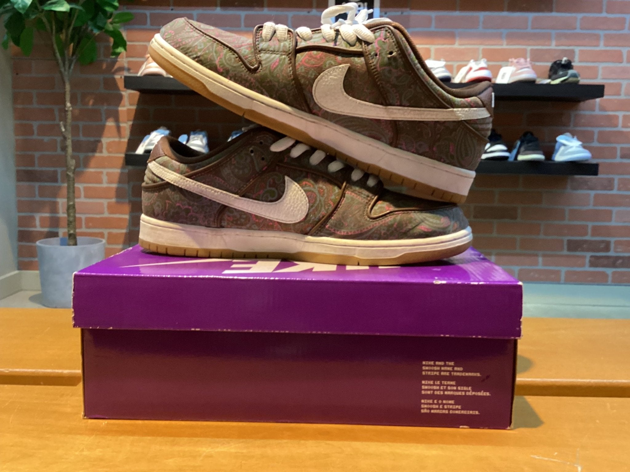 Nike SB Dunk Low Pro (Paisley Brown) Preowned - Hype World
