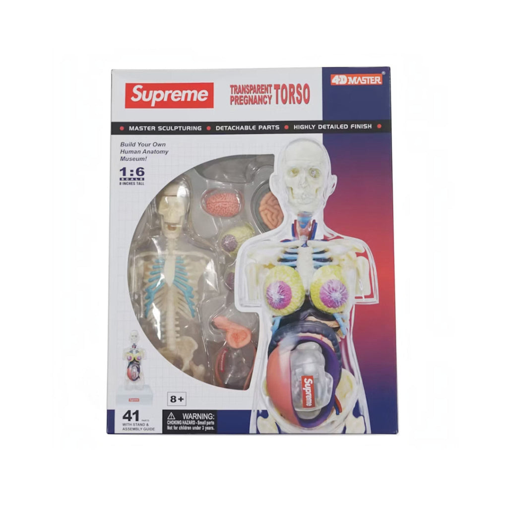 Supreme Female Anatomy Model "Clear" - Hype World