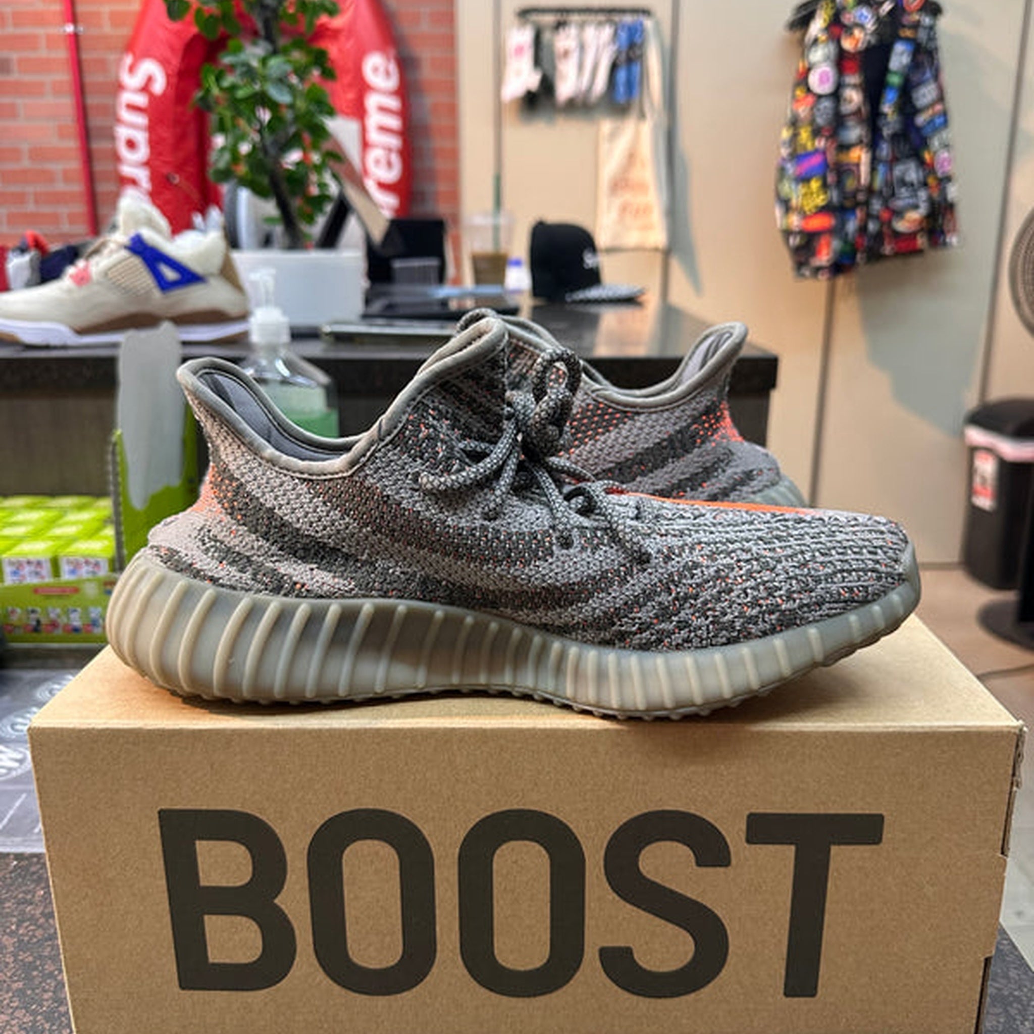 Yeezy 350 "Beluga" Preowned - Hype World